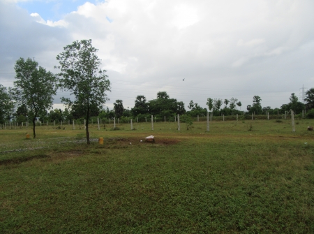 3) Li Id : 126 - Pic : 4.JPG